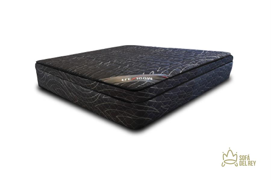 FENIX - Línea Espuma